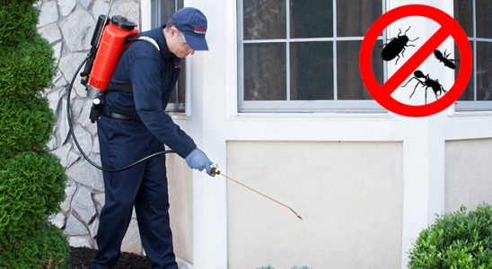 Akyaka Böcek İlaçlama böcek ilaçlama ve haşere kontrolü — ilaclama-tr.com